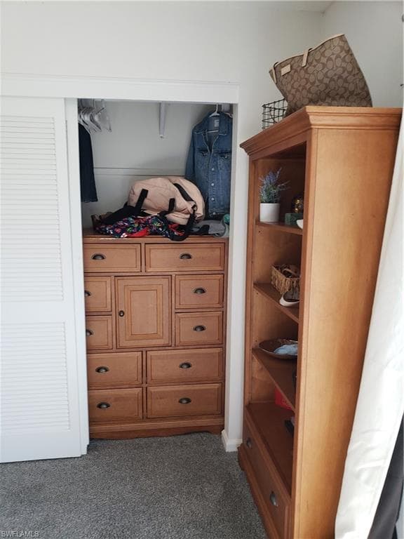 Large closet area with big dresser inside closet.