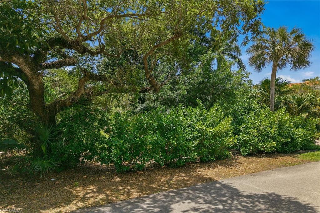 375 Gumbo Limbo LN photo 24 of 50