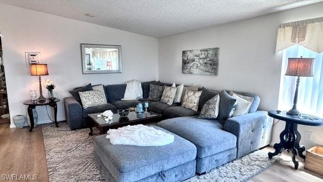 Open-concept living area featuring wood-finish flooring, white wall paint, and a textured area rug