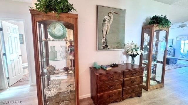 Entrance into the home