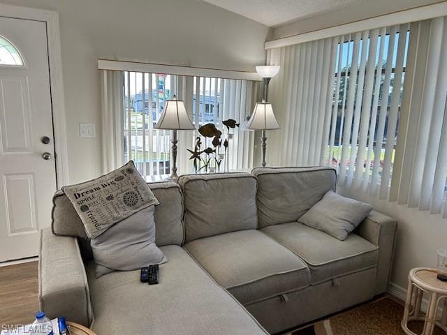 lIVING ROOM WITH LAMINATE FLOORING LIGHT AND BRIGHT