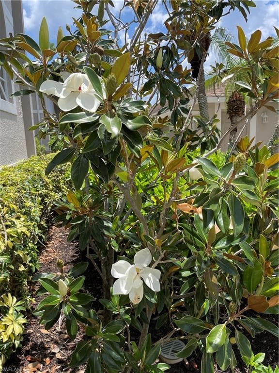 Entry lanai