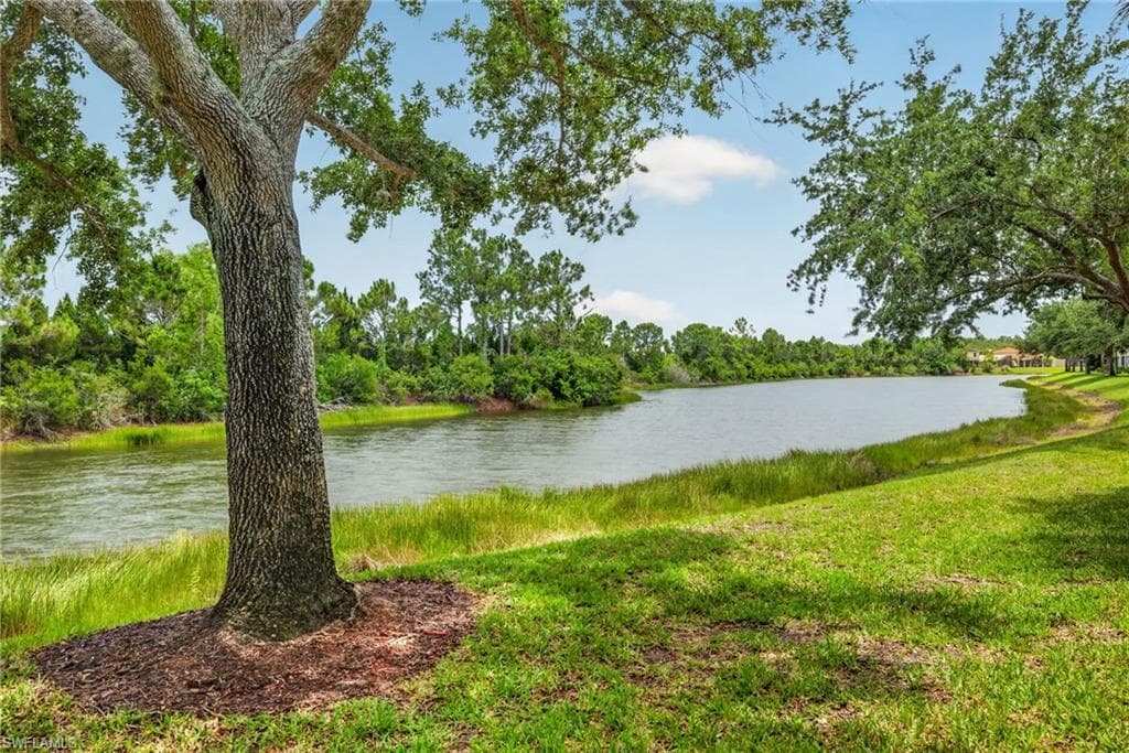 10109 Colonial Country Club BLVD 2410 photo 21 of 28