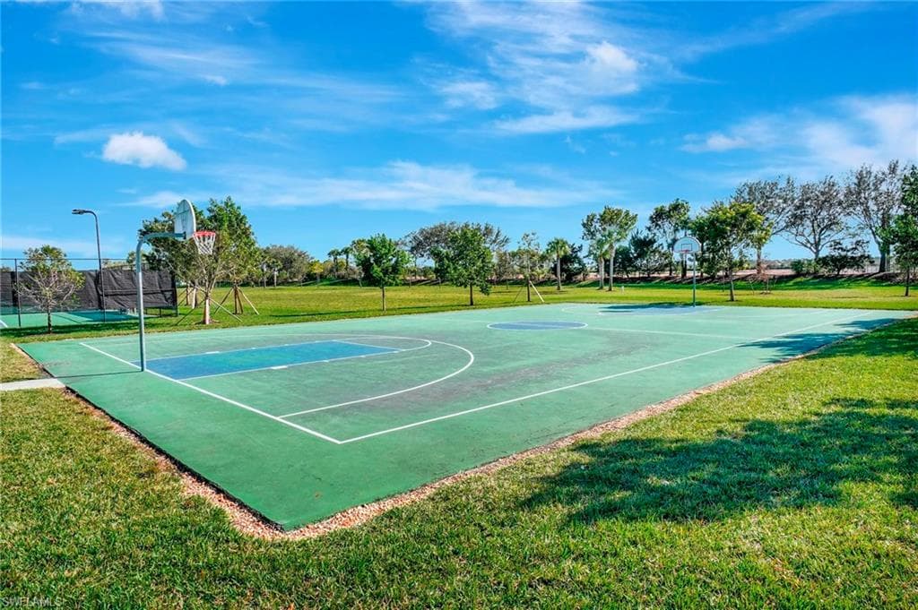 Basketball Court