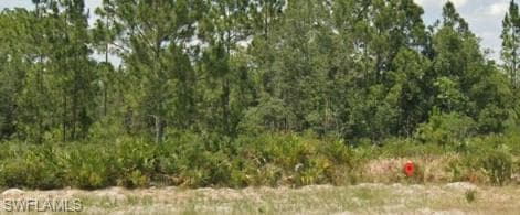 3011 W DIXON RD, AVON PARK FL 33825