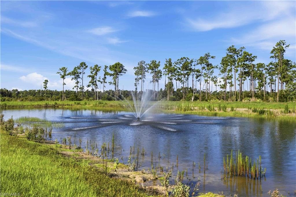 Water feature with a fountain spray, surrounded by lush green foliage and mature pine trees