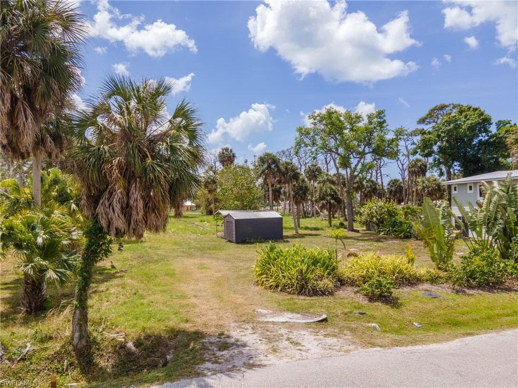 Expansive lot featuring mature palm trees and lush greenery