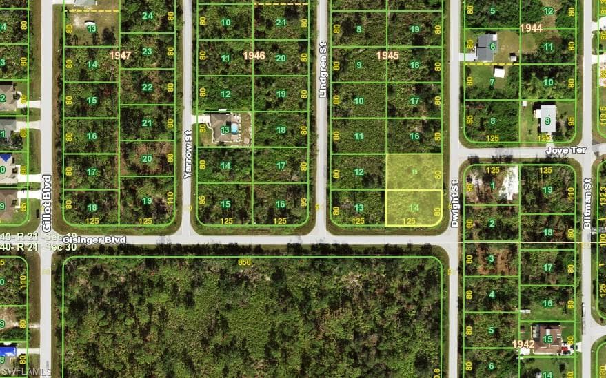 Plat Map. Illustrating lot divisions and street configurations within the property