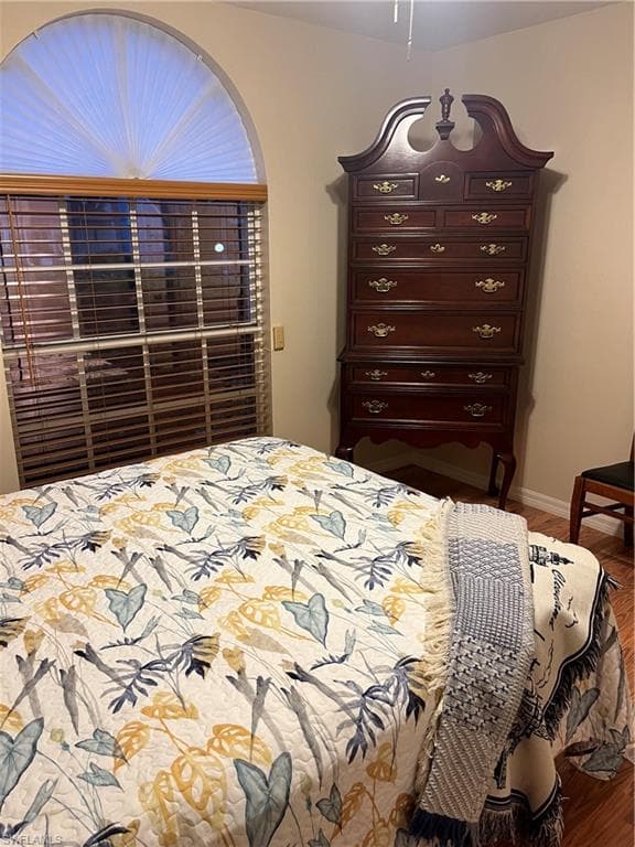 Arched window with pleated shade and horizontal blinds