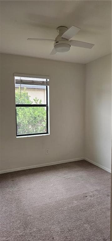 14312 Vindel CIR photo 12 of 20