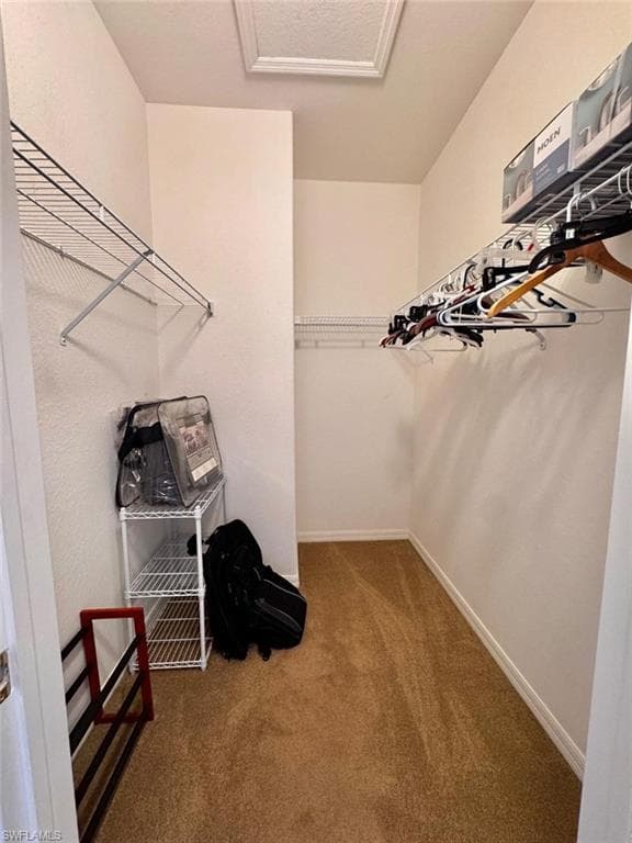 Spacious closet with carpet