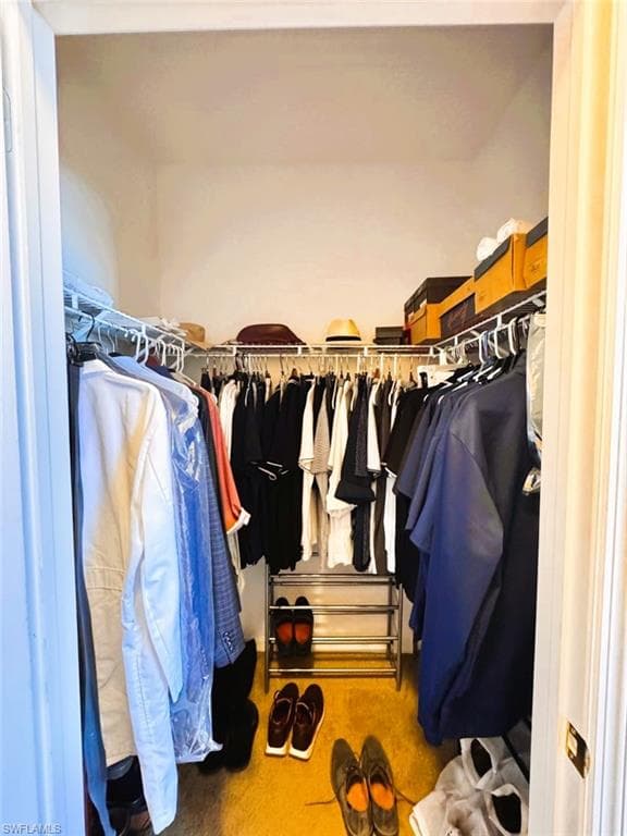 View of walk in closet
