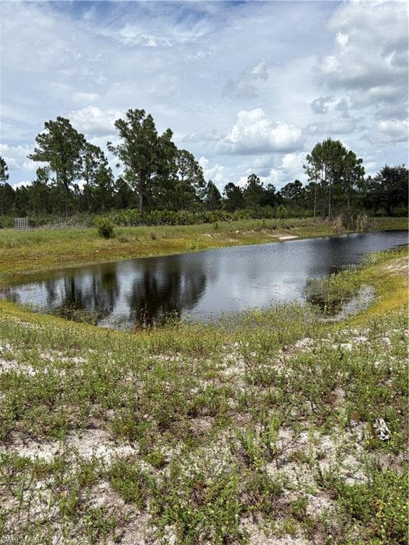 Expansive pond bordered by natural vegetation and mature trees, offering a serene natural water feature
