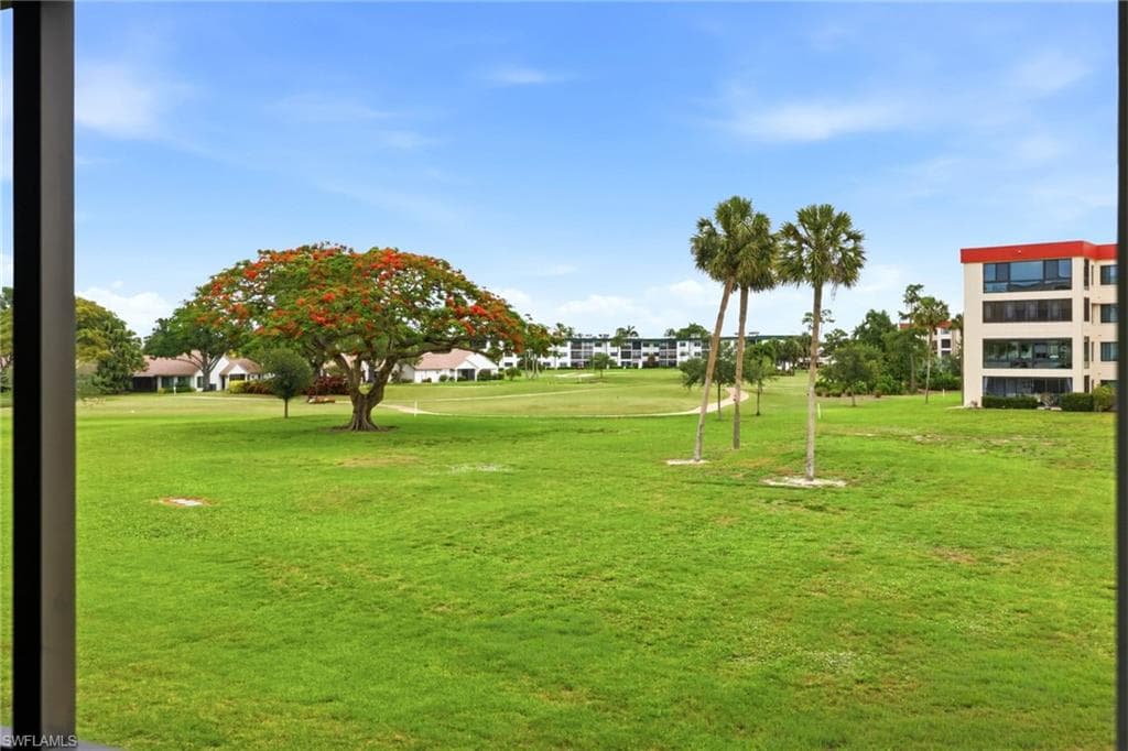 Expansive green space featuring a vibrant flowering tree and palm trees