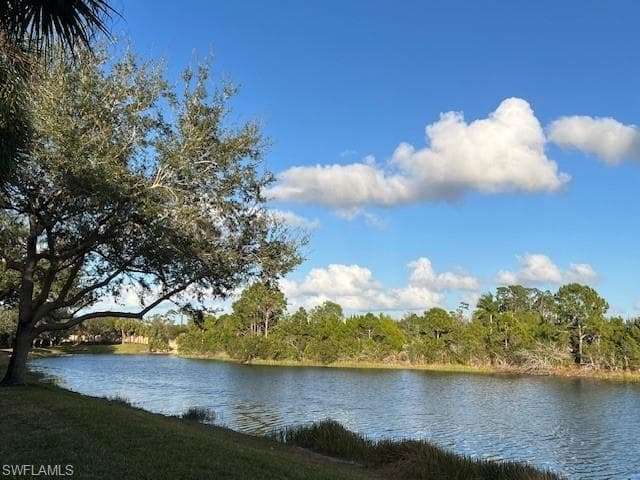 10115 Colonial Country Club BLVD 2103 photo 2 of 45