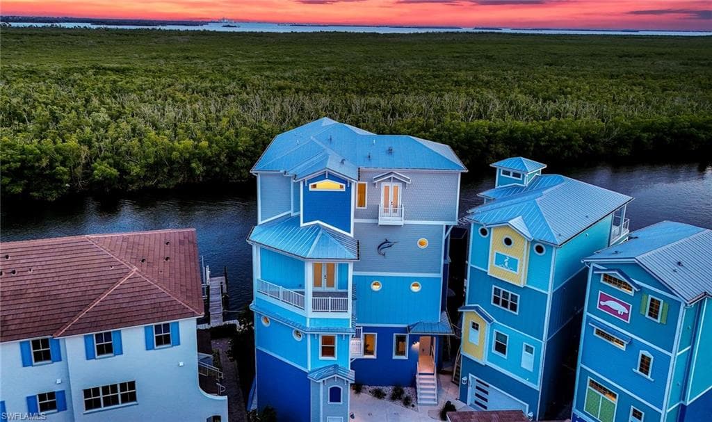 Drone View