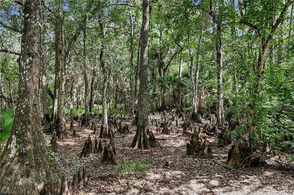 2291 Secretariat Dr. LaBelle, FL 33935