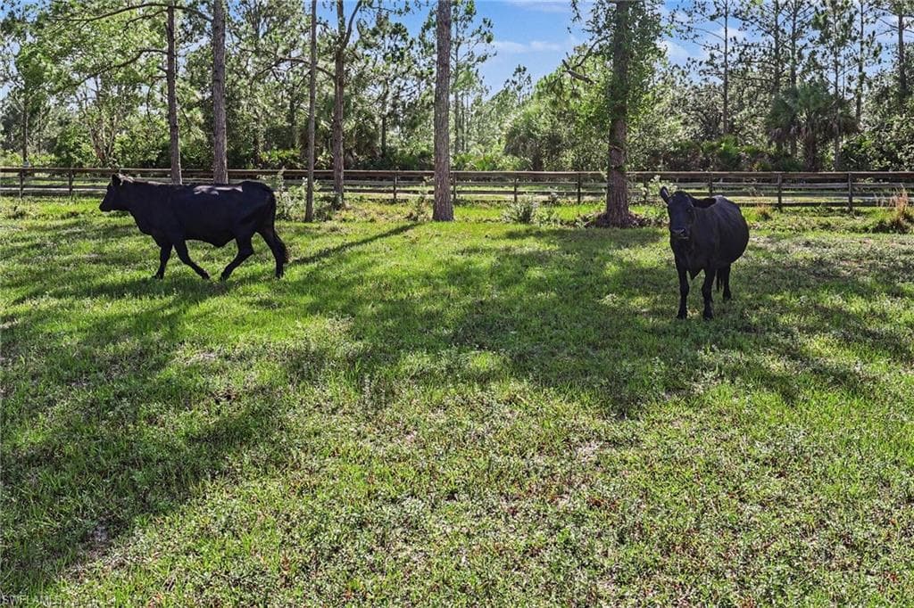 2291 Secretariat Dr. LaBelle, FL 33935