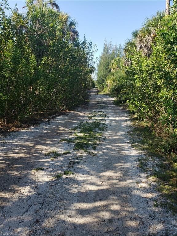 TBD Pirate Landing LN photo 1 of 12