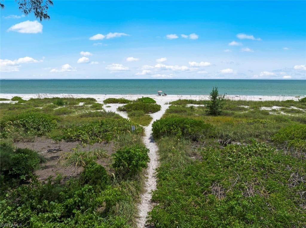 Sandy path through natural foliage directly approaching a white sand beach and turquoise ocean