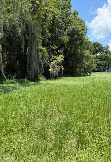 view looking at lot