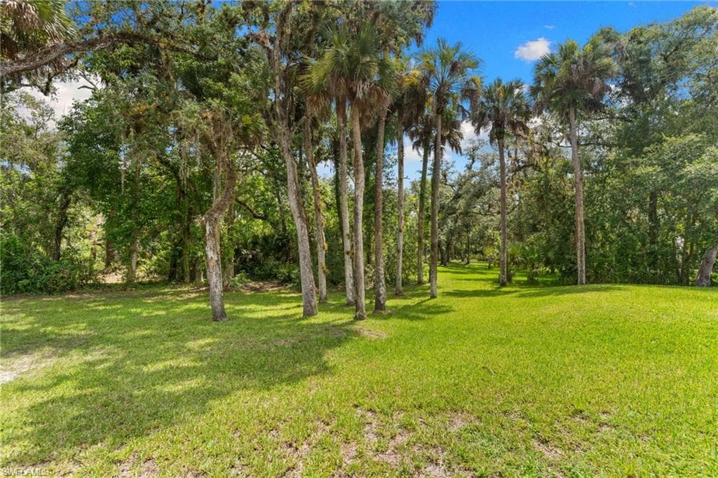 Expansive green space featuring mature trees and a row of palm trees