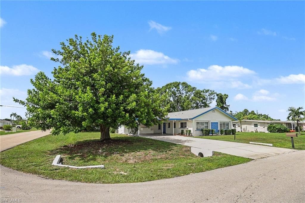 Lovely shade tree at the front of property