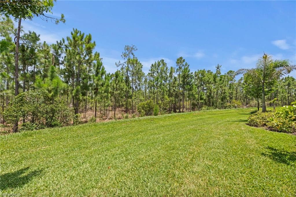 20615 Plumwood LOOP photo 32 of 35