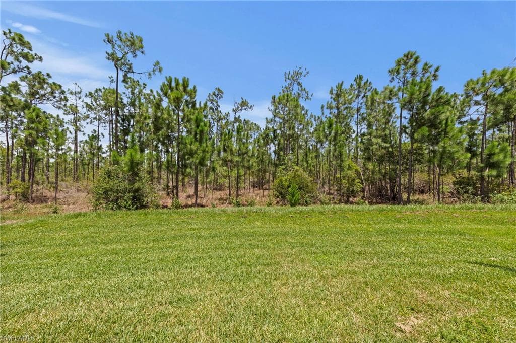 20615 Plumwood LOOP photo 33 of 35