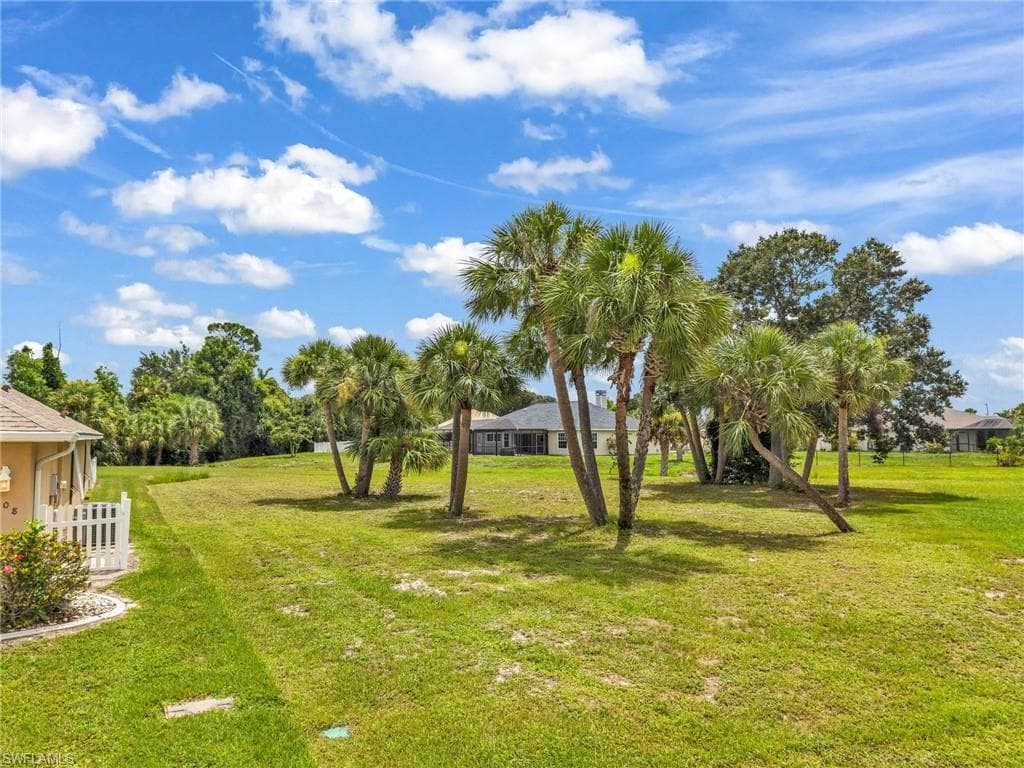 Expansive green space featuring mature palm trees and natural landscaping