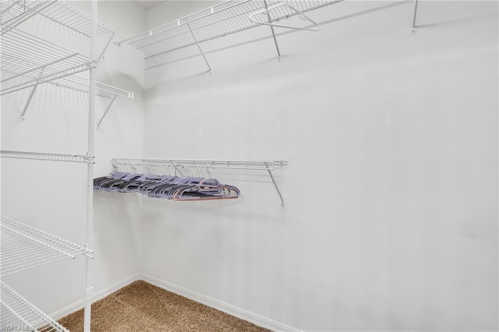 Walk-in closet featuring wire shelving, wire hanging rods, white painted walls, and carpet flooring