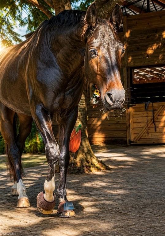 If your dream home needs room for horses, toys or both —— this refined “hobby farm”changes everything.