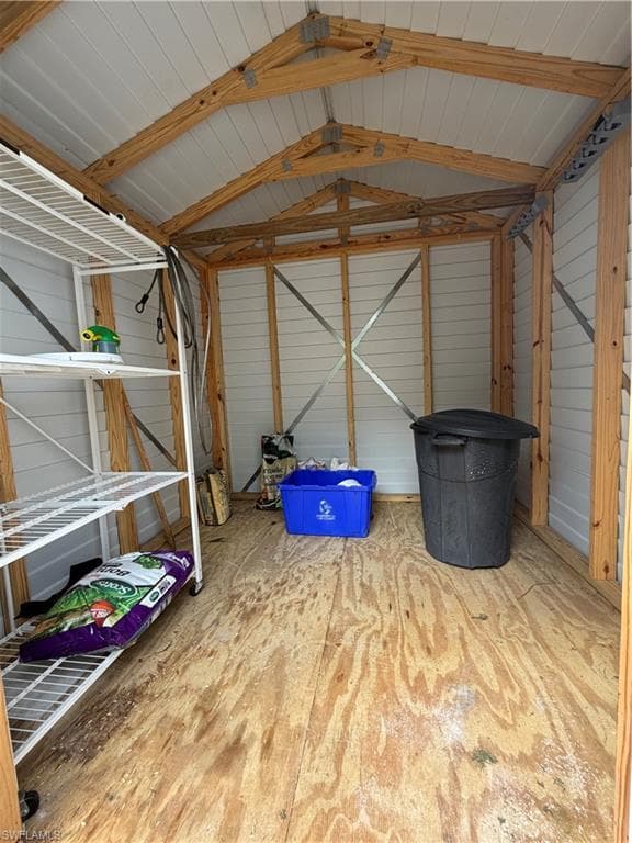 Shed (2022) in backyard