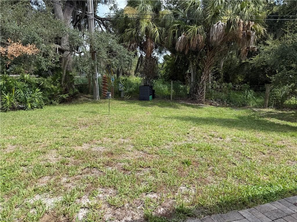 Backyard