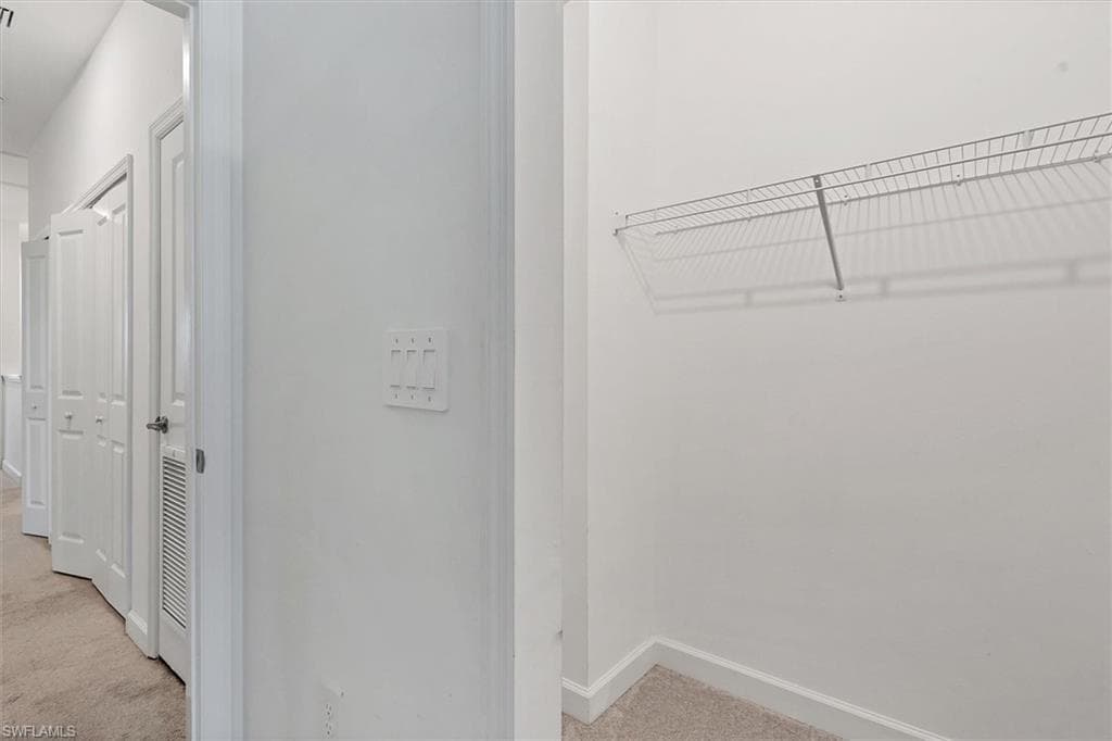 Walk in closet with light colored carpet