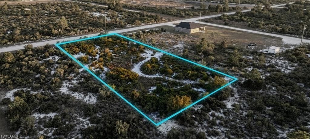 Expansive undeveloped lot with natural vegetation