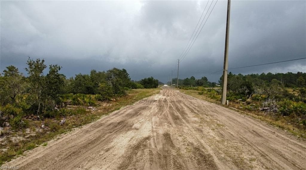Expansive land parcel featuring natural foliage and a dirt road entrance