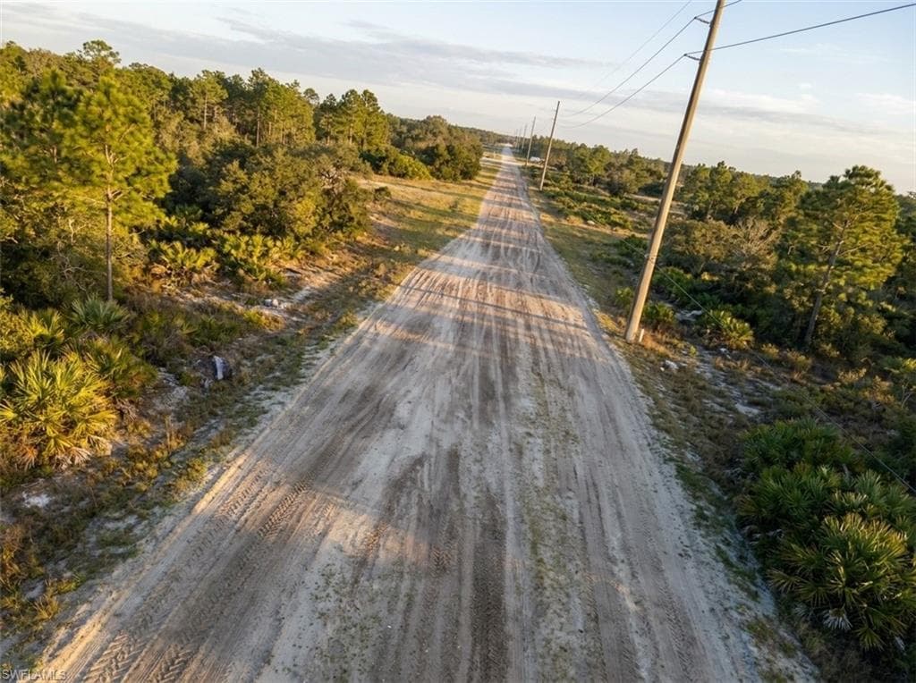 Expansive undeveloped land featuring a sandy road, mature trees, dense natural vegetation, and utility poles