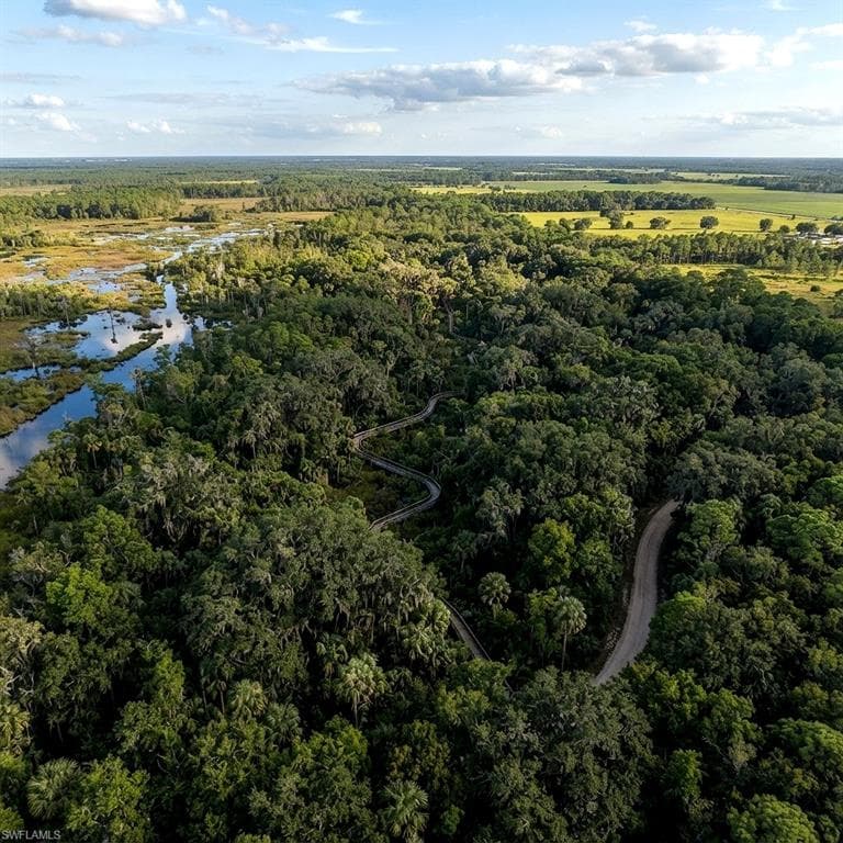 Expansive natural landscape featuring dense forest, a winding river, a curved boardwalk, a dirt path, and distant open fields