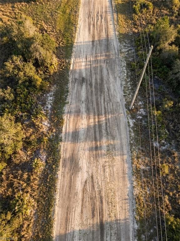 Unpaved road extending through natural foliage, featuring a utility pole and overhead lines