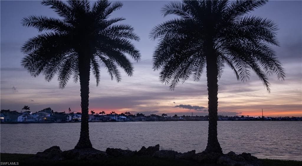 Waterfront setting featuring two prominent palm trees