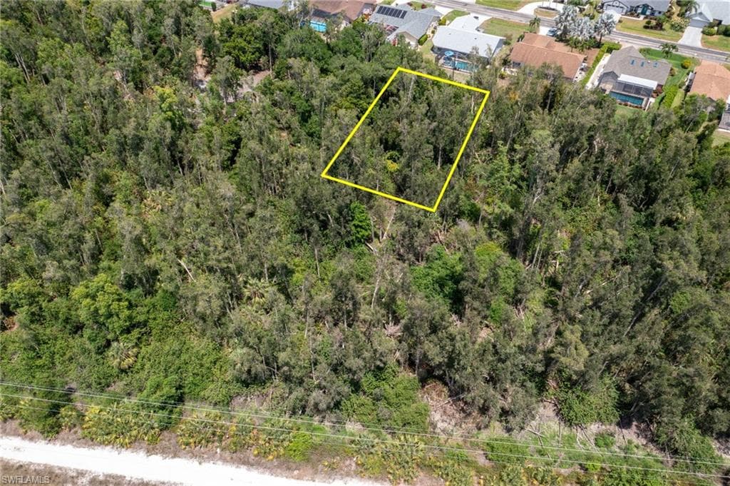 Expansive wooded parcel featuring mature trees