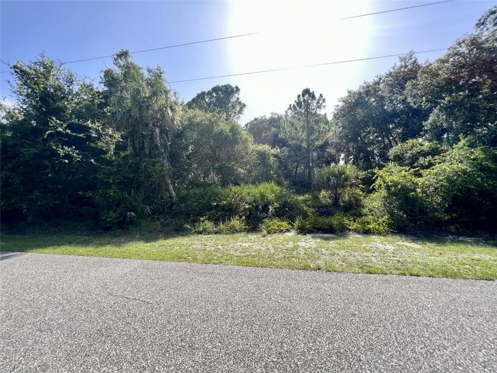 View of asphalt street featuring a forest view