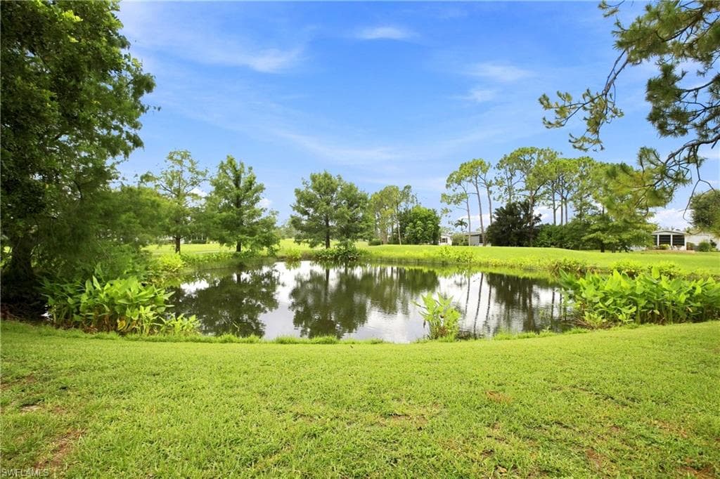 Tranquil water feature bordered by lush green foliage and mature trees