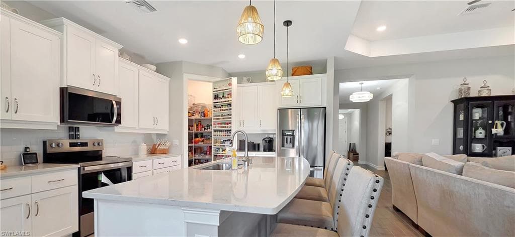 Spacious kitchen featuring an expansive island with a sink, white cabinetry, stainless steel appliances, and a walk-in pantry with shelving