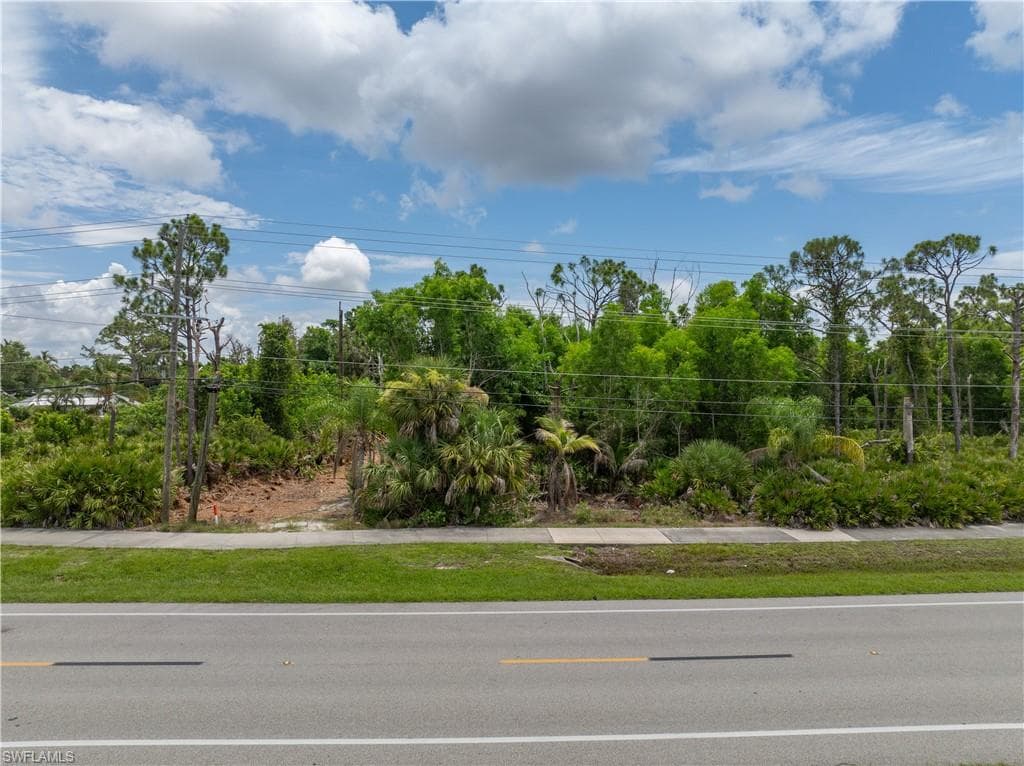 Roadside frontage with a concrete sidewalk and extensive natural landscaping