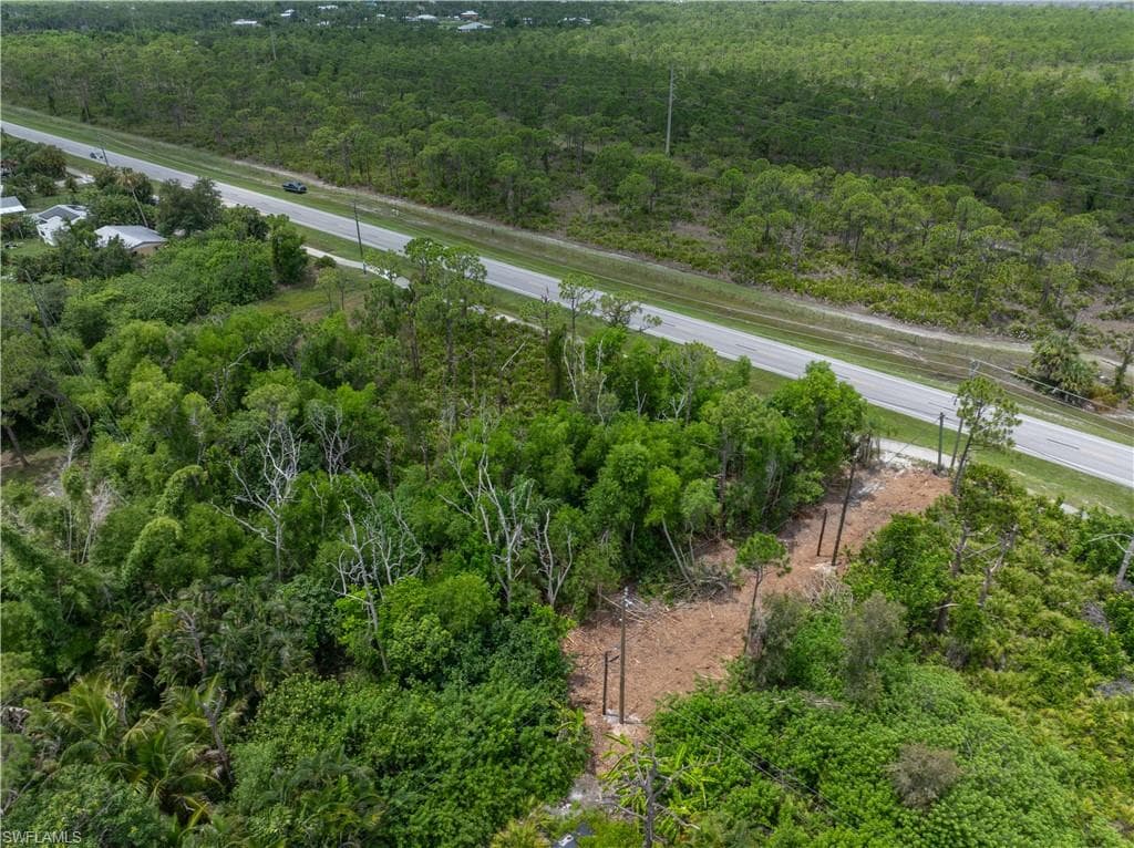Aerial view showcasing mature tree canopy with natural understory vegetation, bordered by a well-developed roadway infrastructure
