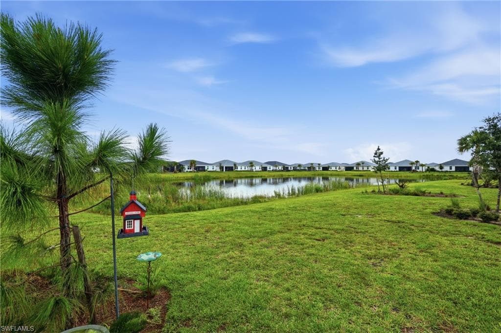 View of Back yard
