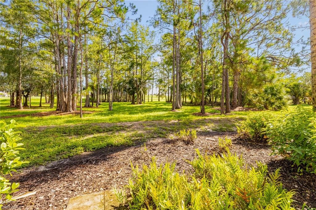 Beautiful preserve view
