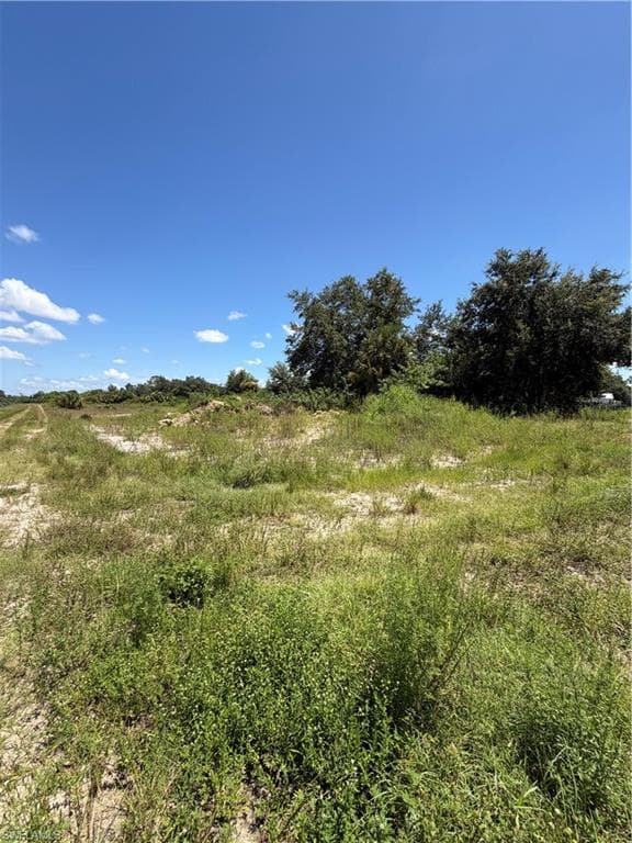 Expansive lot featuring varied ground cover, mature trees, and clear sky overhead